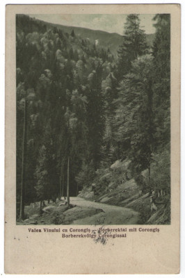 1940 - Valea Vinului (jud. Bistrița-Năsăud) foto