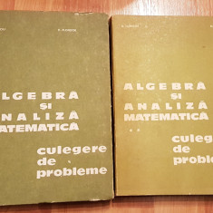 Algebra si analiza matematica de D. Flondor, N. Donciu (2 vol)