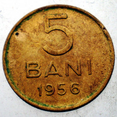 7.302 ROMANIA RPR 5 BANI 1956