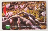 bnk card Cartele telefonice - Cipru - Flori - Wild Flowers of Akamas Forest 5 &pound; (Silver Stripe) - 21CYPA
