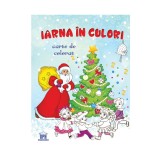 Iarna in culori