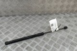 Amortizor capota st&acirc;nga față PORSCHE PANAMERA 971 2018 OEM: 298823359 30620317