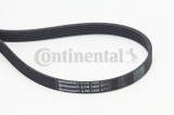 CONTINENTAL CTAM 6PK1200 Curea transmisie cu caneluri