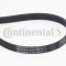 CONTINENTAL CTAM 6PK1200 Curea transmisie cu caneluri