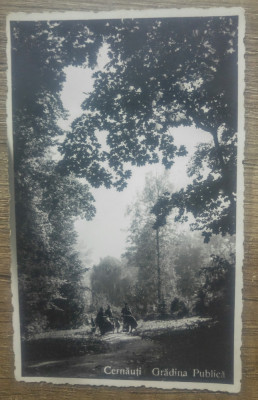 Cernauti, Gradina Publica// CP foto foto