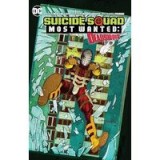 Suicide Squad Most Wanted Deadshot and Katana