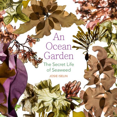 An Ocean Garden: The Secret Life of Seaweed foto
