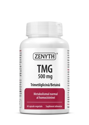 TMG 500MG 60CPS VEGETALE foto