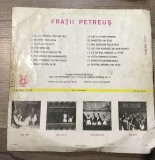 Vinil 4.1 Vinyl Electrecord , Fratii Petreus