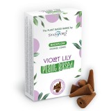 Cumpara ieftin Conuri Parfumate pe Baza de Plante - Violete