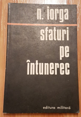 Nicolae Iorga - Sfaturi pe intuneric foto