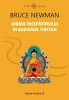 Ghidul incepatorului in budismul tibetan - Bruce Newman