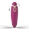 Stimulator Clint, 9 Moduri Vibratii, Silicon, USB, Rosu, 11.2 cm, Passion Labs