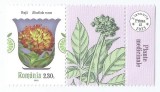 **Romania, LP 2399/2023, Plante medicinale, 2,30 lei cu vinieta coala posta, MNH