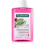 Klorane Prickly Pear șampon intens hidratant 200 ml
