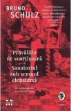 Pravaliile de scortisoara. Sanatoriul sub semnul clepsidrei - Bruno Schulz