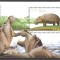 GUINE-BISSAU 2001 FAUNA ( colita dantelata ) MNH