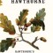 Hawthorne's Short Stories