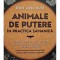 Don Jose Ruiz - Animale de putere in practica samanica (Editia: 2024)