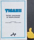 Tiganii intre ignorare si ingrijorare Elena Zamfir, Catalin Zamfir