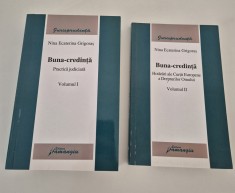 Drept Nina Ecaterina Grigoras Buna Credinta Practica Judiciara Hotarari