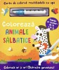 Carte De Colorat Cu Apa. Reutilizabila: Coloreaza Animale Salbatice, - Editura Flamingo