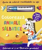 Carte De Colorat Cu Apa. Reutilizabila: Coloreaza Animale Salbatice, - Editura Flamingo