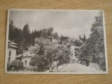 QW27 S - Carte postala - tematica turism - vedere - Sinaia 14 - 1956