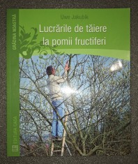 Uwe Jakubik - Lucrările de tăiere la pomii fructiferi