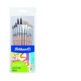 Set 10 pensule Starter, dimensiunea 4, 6, 8, 10, 12, blister