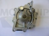 MOTAQUIP VWP917 Pompă de apă, răcire motor