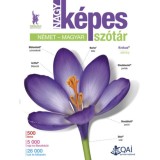 Nagy k&eacute;pes n&eacute;met-magyar sz&oacute;t&aacute;r