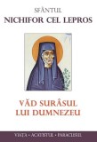 Văd sur&acirc;sul lui Dumnezeu - Paperback brosat - Sf&acirc;ntul Nichifor cel Lepros - Sophia