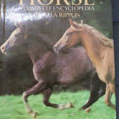 THE HORSE , A COMPLETE ENCYCLOPEDIA by PAM CARY ...ANGELA WYATT , 1987