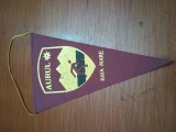 FANION CLUB SPORTIV AURUL BAIA MARE