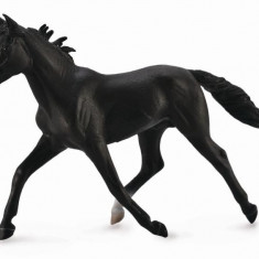 Armasar Standardbred Pacer Black - Animal figurina