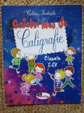 Caietul meu de caligrafie pentru clasele I-IV Celina Iordache, Aramis
