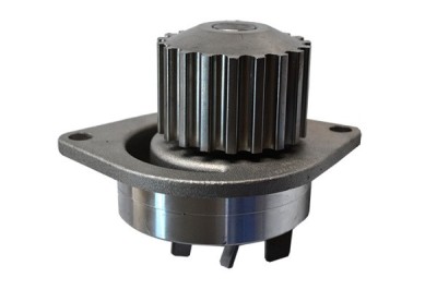 Pompa Apa 142105 70499 foto