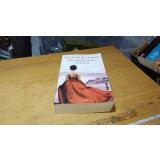 Der italienische Geliebte - Judith Lennox #A6612