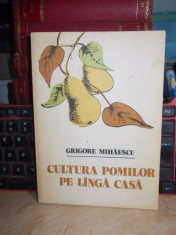 GRIGORE MIHAESCU - CULTURA POMILOR PE LANGA CASA ( ALTOIREA ) , 1982 foto