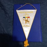 Fanion Fed. romana de Lupte