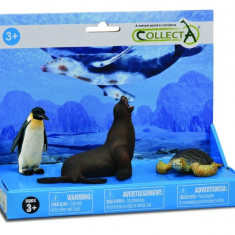 Set de 3 figurine pictate manual Foca, Pinguin si Testoasa