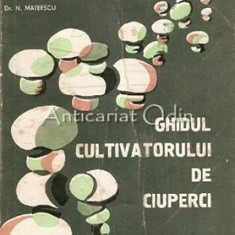 Ghidul Cultivatorului De Ciuperci - N. Mateescu