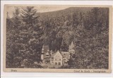 Carte postala circulata in anul 1919 Sinaia