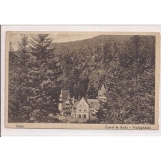 Carte postala circulata in anul 1919 Sinaia