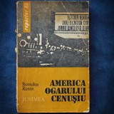 America Ogarului Cenusiu - Romulus Rusan - Carte Istorie