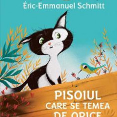 Povestile bufnitei. Pisoiul care se temea de orice - Eric-Emmanuel Schmitt