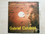 Gabriel Cotabita &ndash; Noi ramanem oameni (Vinyl/LP), VINIL, Pop