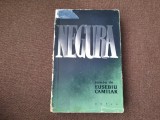 NEGURA-EUSEBIU CAMILAR-SUPRACOPERTA RF18/4