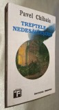 Treptele nedesavirsirii/nedesavarsirii - Pavel Chihaia, AUTOGRAF SI DEDICATIE LUI MIRCEA ZACIU, Institutul European Iasi, 1993, ISBN 973 9148 38 7